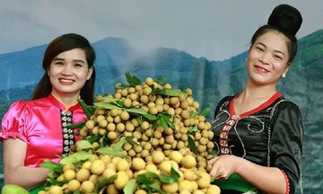 Khắc phục khó khăn, nông dân, HTX làm giàu từ trồng cây ăn quả trên đất dốc