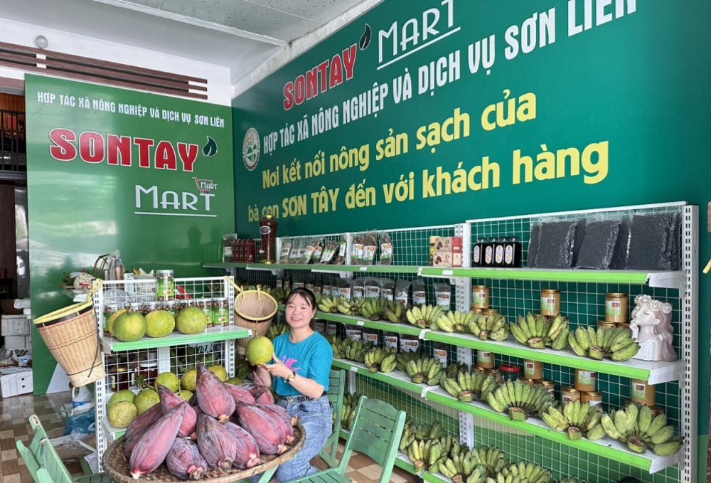 HTX và chuyển đổi số: Đòn bẩy phát triển vùng đồng bào DTTS tỉnh Quảng Ngãi