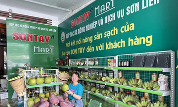 HTX và chuyển đổi số: Đòn bẩy phát triển vùng đồng bào DTTS tỉnh Quảng Ngãi