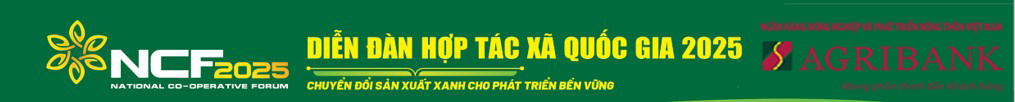 -1508-1747631535.jpg
