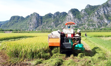 Người dân tộc thiểu số ở Tuyên Hóa chuyển mình trên vùng gió Lào cát trắng