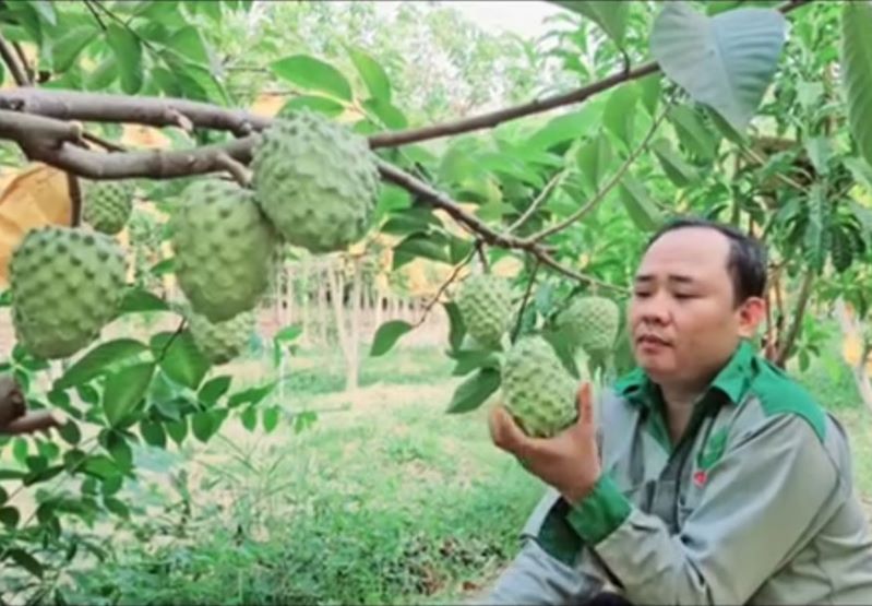 OCOP góp phần nâng cao thu nhập cho nông dân Phú Giáo