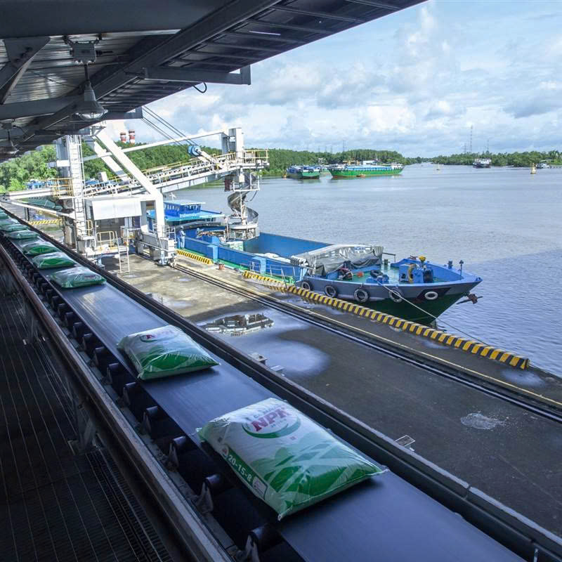 Bứt phá toàn diện, PVCFC giữ thế chủ lực trong mùa vụ Hè Thu