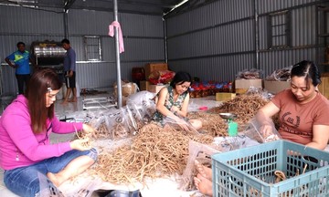 Người dân A Tiêng cùng giúp nhau thoát nghèo từ lợi thế sẵn có ở địa phương