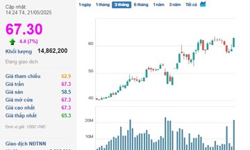 VHM là mã duy nhất trong rổ VN30 có được ‘sắc tím’