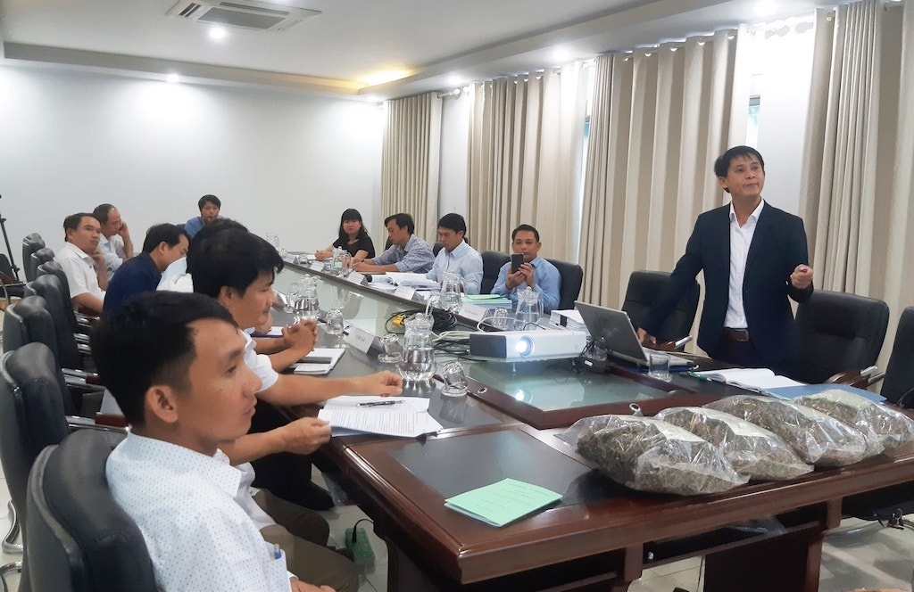 Người dân xã Tư tận dụng ‘kho báu’ chè dây Ra zéh để thoát nghèo