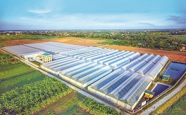 Áp lực nợ vay và nghĩa vụ tài chính tại công ty con của PAN Group ngày một lớn