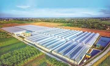 Áp lực nợ vay và nghĩa vụ tài chính tại công ty con của PAN Group ngày một lớn