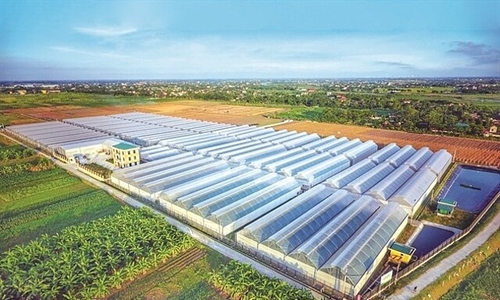 Áp lực nợ vay và nghĩa vụ tài chính tại công ty con của PAN Group ngày một lớn