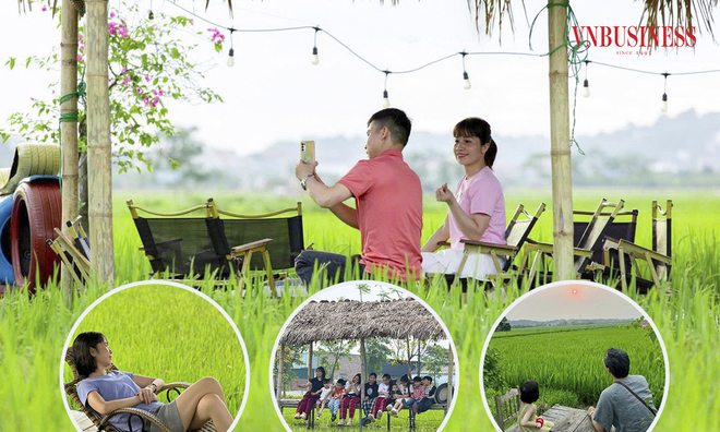 <p
<span style="line-height:107%;"Trung bình quán thu hút khoảng 150 khách mỗi ngày, vào dịp cuối tuần và đặc biệt là thời điểm lúa chín vàng con số này tăng lên đến 500-600 khách đến để thưởng thức cà phê và ngắm cảnh đồng quê.</span</p
