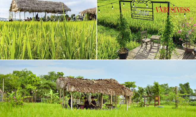 <p
<span style="line-height:107%;"Không gian thoải mái, rất thơ mộng, lại được hòa mình với thiên nhiên nên các khách hàng trẻ tuổi luôn ghé qua mỗi khi rảnh.</span</p