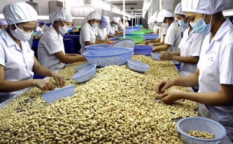 4 tháng đầu năm 2025, Việt Nam xuất khẩu 195,6 nghìn tấn hạt điều