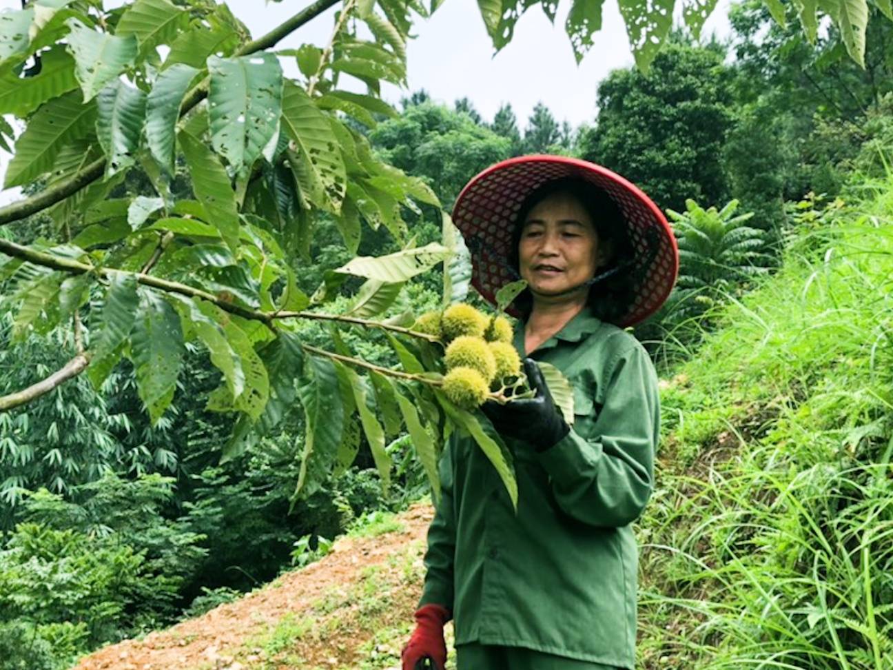 Bước chuyển mình vươn lên từ vòng xoáy nghèo đói ở Trùng Khánh