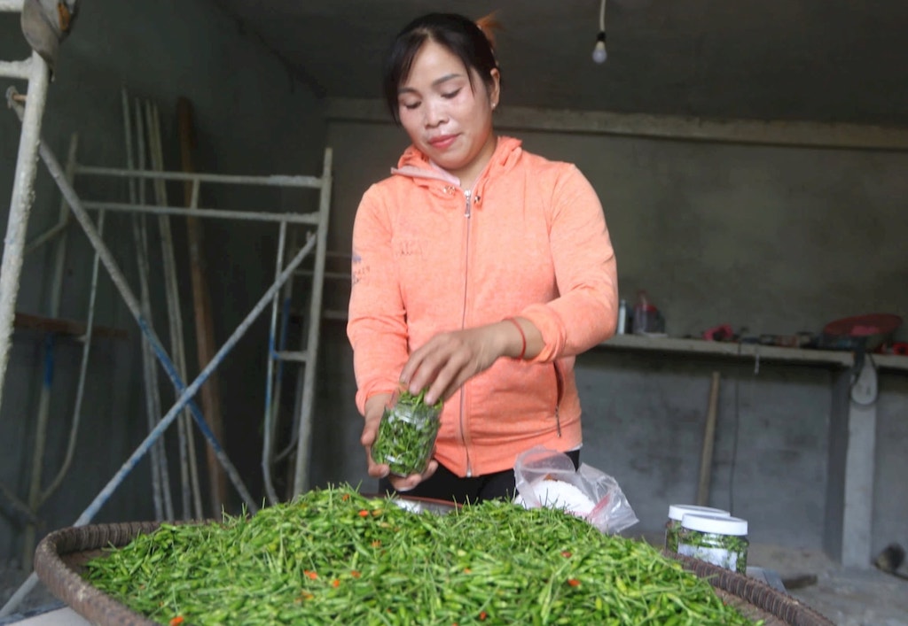 Nâng ý chí thoát nghèo cho người dân Đông Giang từ liên kết chuỗi giá trị