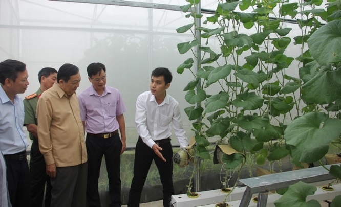 Vĩnh Long: Đảm bảo sinh kế, giúp người dân giảm nghèo bền vững