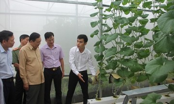 Vĩnh Long: Đảm bảo sinh kế, giúp người dân giảm nghèo bền vững