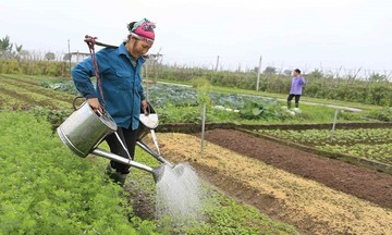 Sữa giả, thực phẩm bẩn bán tràn lan, đại biểu Quốc hội đề nghị tăng mức phạt