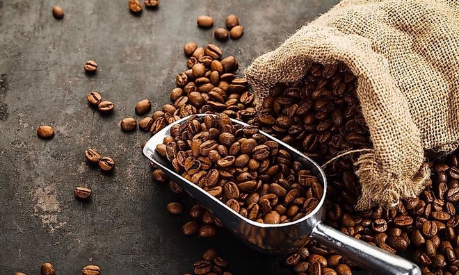 Nhiều yếu tố bất lợi khiến giá cà phê giảm đến 3.300 đồng/kg