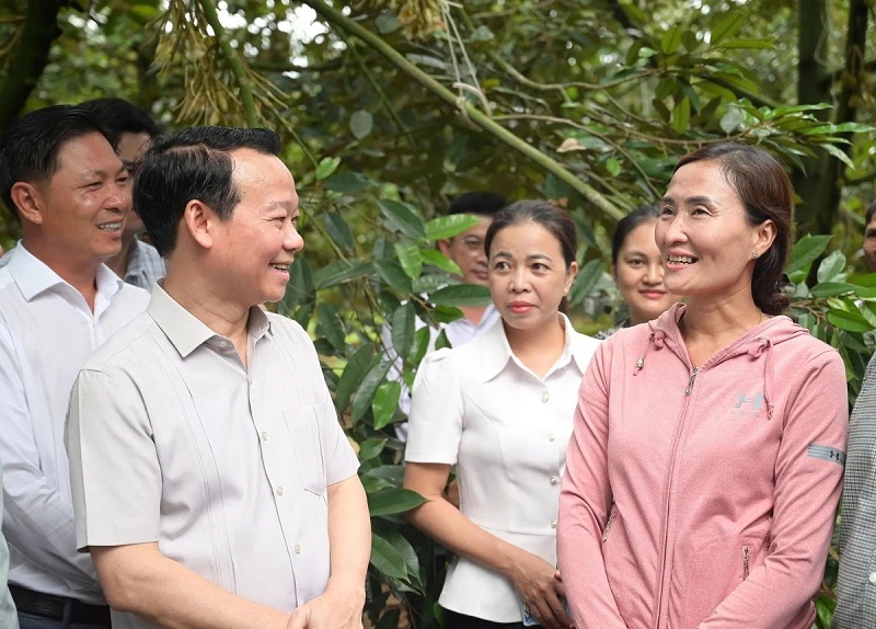 Hàng loạt giải pháp để sầu riêng Việt Nam sớm trở lại 