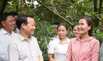 Hàng loạt giải pháp để sầu riêng Việt Nam sớm trở lại &quot;đường đua&quot;
