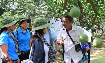 Nông dân Hiếu Liêm thu ‘lợi kép’ với du lịch nông nghiệp