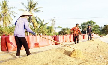 HTX ở Cầu Ngang mở lối thoát nghèo, làm giàu cho nông dân