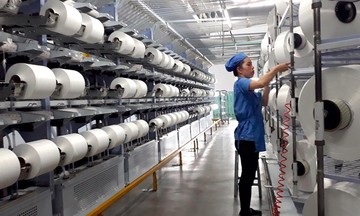 Vừa từ nhiệm chức vụ Chủ tịch HĐQT, bà Đặng Mỹ Linh nhanh chóng muốn trở thành cổ đông lớn nhất của Sợi Thế Kỷ