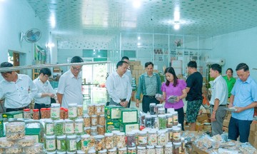 Hành trình bền bỉ xóa đói, giảm nghèo ở Hớn Quản