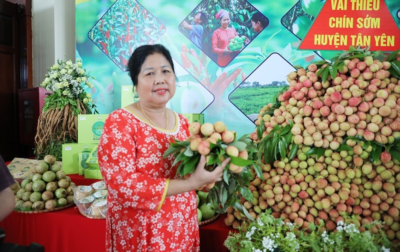 Hơn 300 sản phẩm OCOP và đặc sản Bắc Giang được giới thiệu tại hội nghị xúc tiến tiêu thụ vải thiều