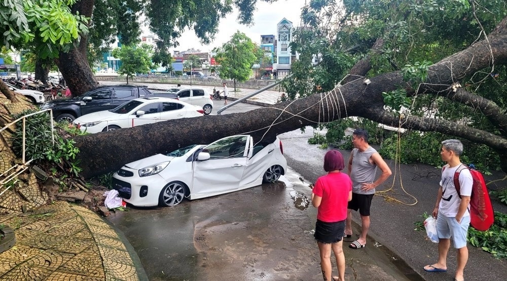 Doanh thu từ tái bảo hiểm, khai thác nền tảng thương mại điện tử vực dậy các doanh nghiệp bảo hiểm