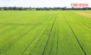 Đòn bẩy giảm nghèo ở Vị Thủy