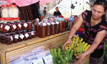 Tạo mô hình kinh tế hợp tác phù hợp giúp thoát nghèo bền vững cho đồng bào Tà Ôi ở A Lưới