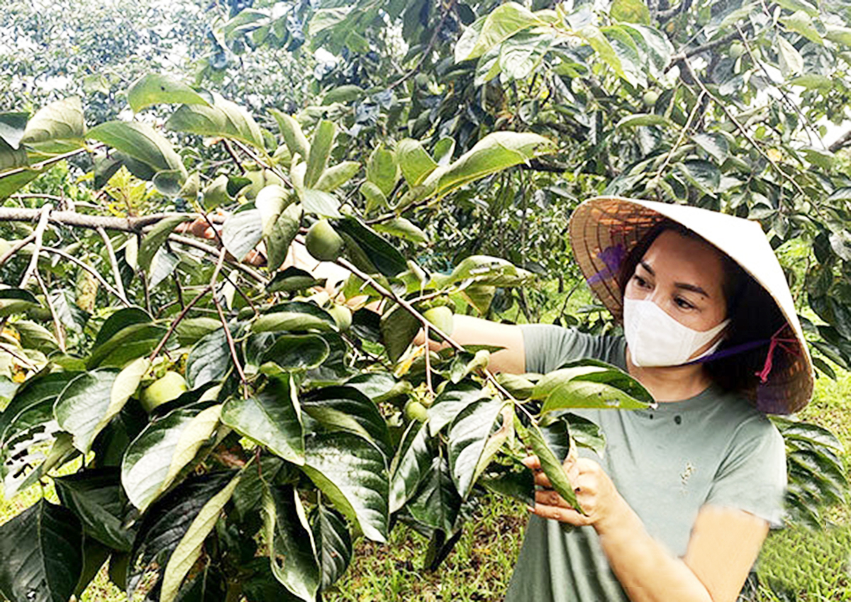'Người bạn đồng hành' giúp bà con dân tộc thiểu số vùng cao Văn Lãng đổi đời