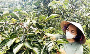 &#039;Người bạn đồng hành&#039; giúp bà con dân tộc thiểu số vùng cao Văn Lãng đổi đời