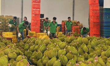Việt - Trung thống nhất thiết lập &#039;luồng xanh nông sản&#039;
