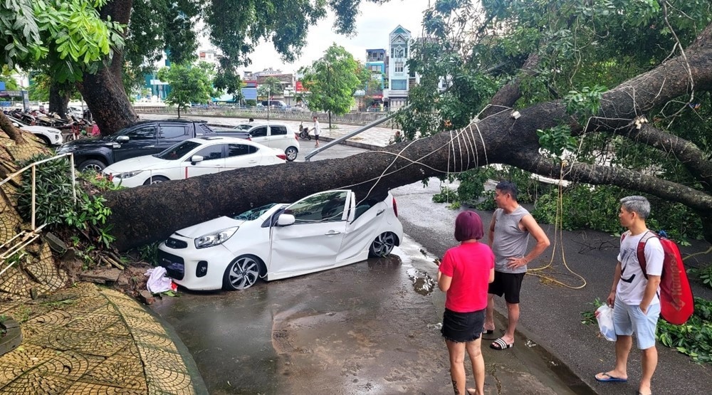 Doanh thu từ tái bảo hiểm, khai thác nền tảng thương mại điện tử vực dậy các doanh nghiệp bảo hiểm