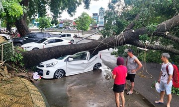 Doanh thu từ tái bảo hiểm, khai thác nền tảng thương mại điện tử vực dậy các doanh nghiệp bảo hiểm