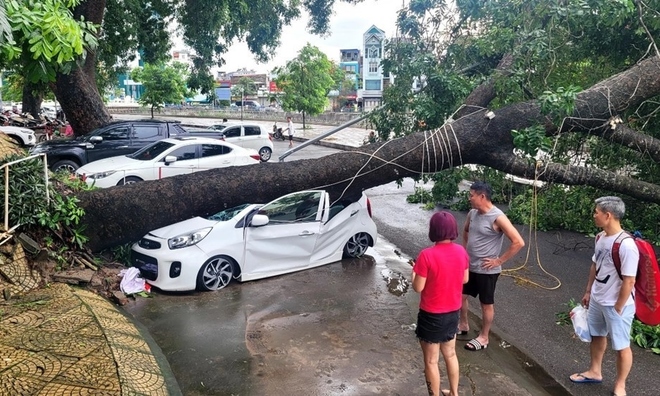 Doanh thu từ tái 789bet, khai thác nền tảng thương mại điện tử vực dậy các doanh nghiệp 789bet