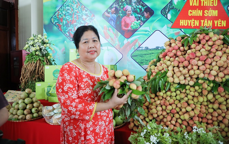 Hơn 300 sản phẩm OCOP và đặc sản Bắc Giang được giới thiệu tại hội nghị xúc tiến tiêu thụ vải thiều