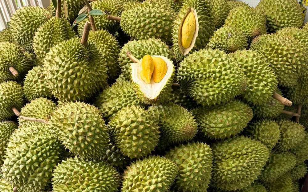 Sầu riêng, nông lâm thủy sản được ưu tiên thông quan ngay khi đến cửa khẩu
