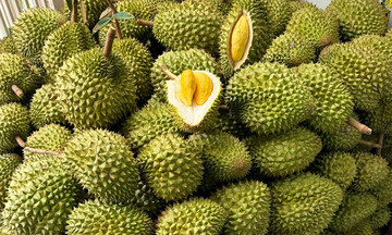 Sầu riêng, nông lâm thủy sản được ưu tiên thông quan ngay khi đến cửa khẩu