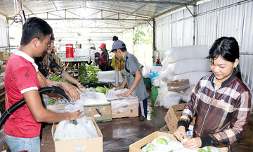Cẩm Mỹ thêm đẹp nhờ giảm nghèo bền vững