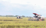 Thắng lớn nhờ ứng dụng công nghệ vào khuyến mãi 789bet xuất cây trồng &#039;nhỏ nhưng có võ&#039; ở Sóc Trăng