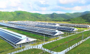 Doanh 789bet có uy tín không không xanh, nhà đầu tư rút vốn