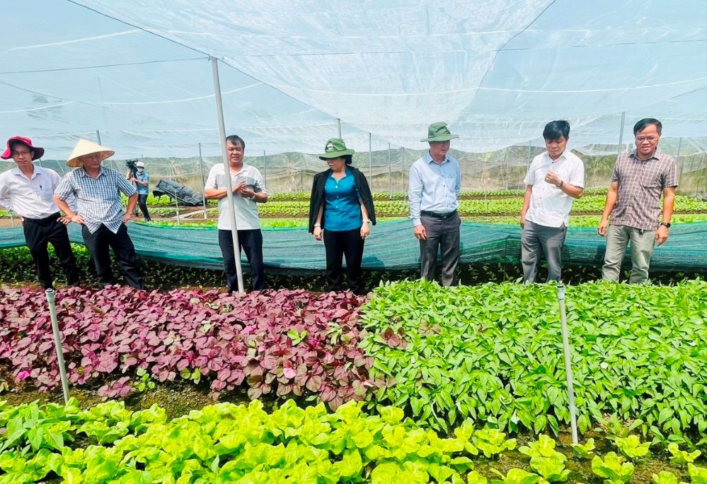 Những trụ cột giúp Bàu Bàng vững vàng trên hành trình giảm nghèo bền vững