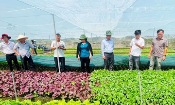 Những trụ cột giúp Bàu Bàng vững vàng trên hành trình giảm nghèo bền vững