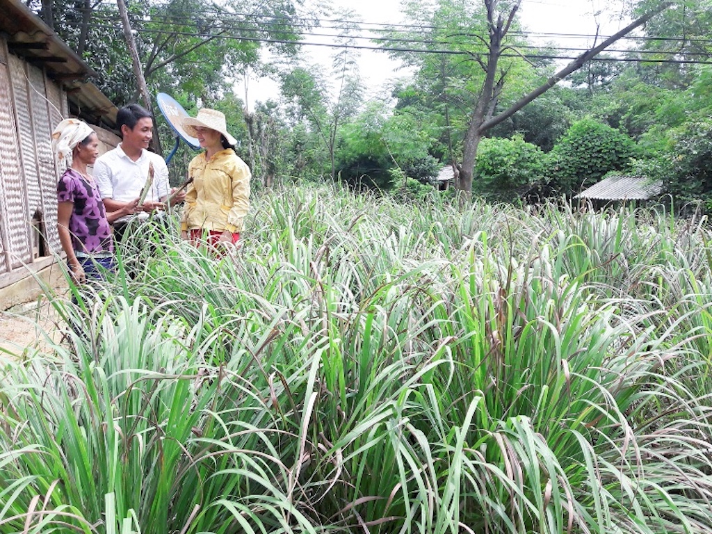 HTX tạo ‘lực đẩy’ giúp thay đổi cuộc sống đồng bào dân tộc thiểu số ở Ba Lòng