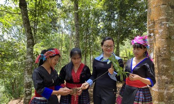 HTX và đồng bào dân tộc ở Mường Tè hòa nhịp công nghệ số