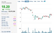 Tiền đổ mạnh vào nhóm ‘cổ đất’