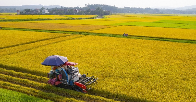 Việt Nam chuẩn bị xuất khẩu lô gạo phát thải thấp đầu tiên